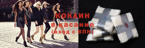 молекула духа Арсеньев
