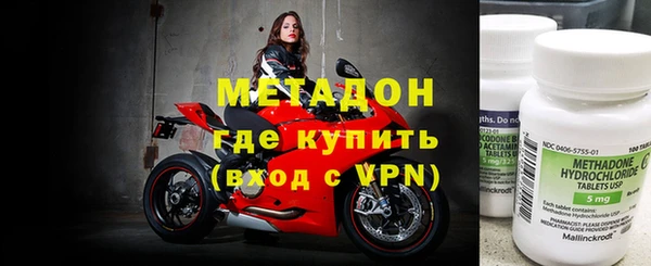 хмурый Аркадак