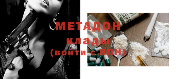 хмурый Аркадак