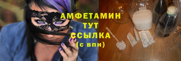 хмурый Аркадак
