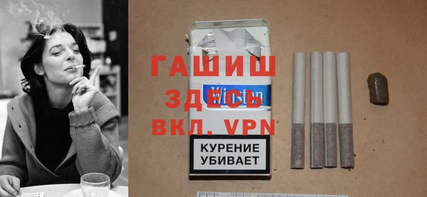хмурый Аркадак