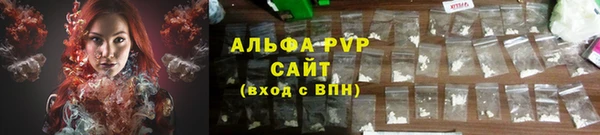 молекула духа Арсеньев