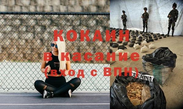 молекула духа Арсеньев