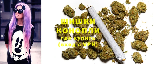хмурый Аркадак