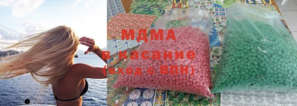 хмурый Аркадак