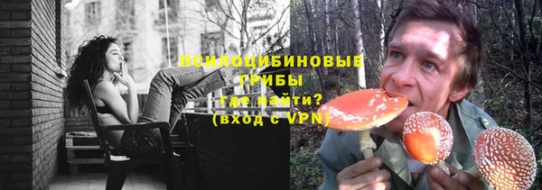 молекула духа Арсеньев