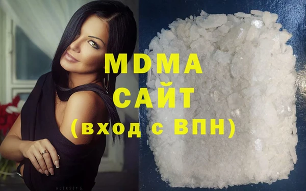 хмурый Аркадак