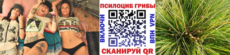 Псилоцибиновые грибы мухоморы закладки darknet Telegram Энем